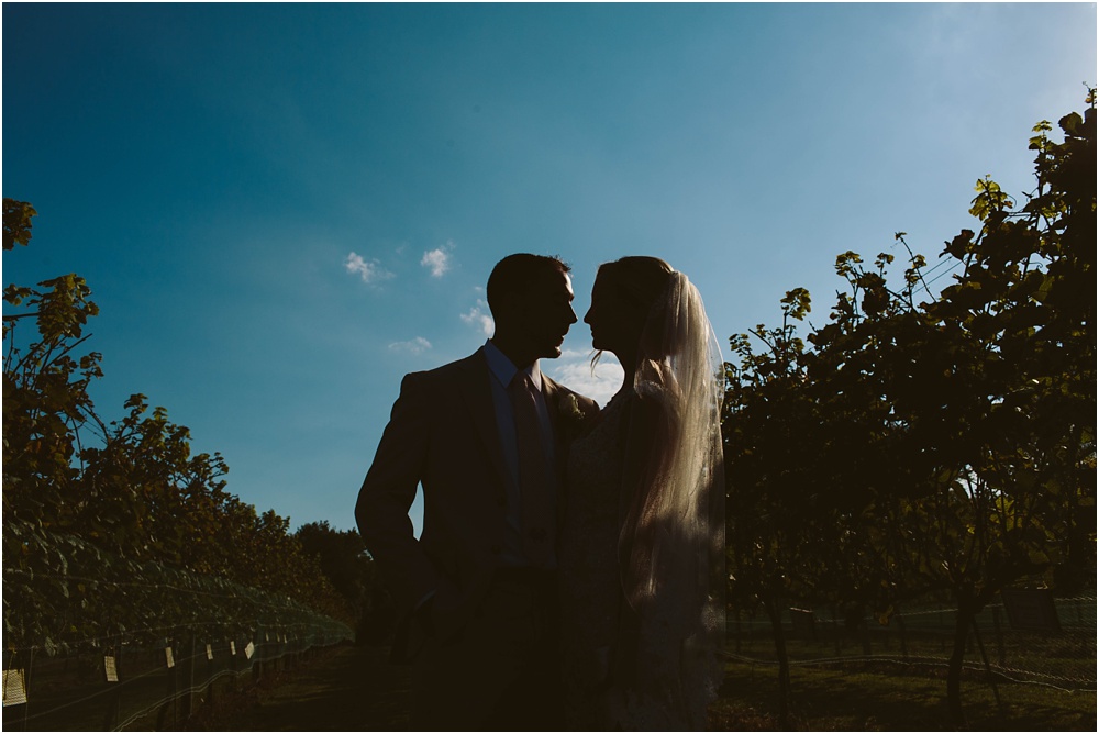 Romantic Sunset Willow Creek Winery Wedding | Cape May NJ Wedding Photographer | Ellen and Nick