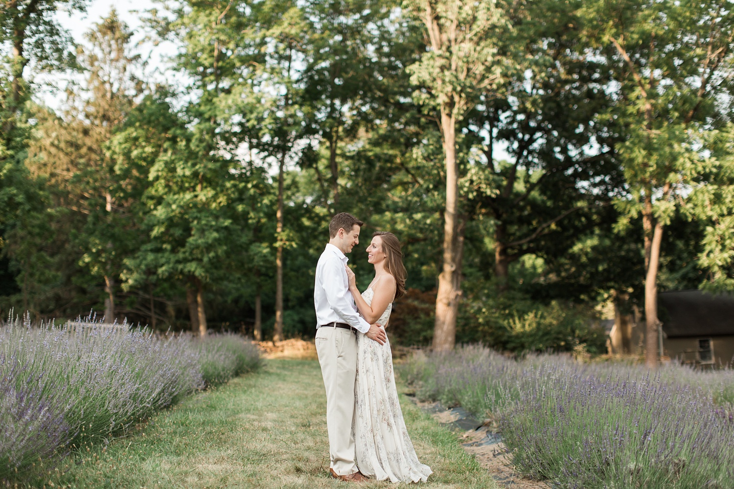 Lavender Farm Summer Sunset Engagement | Peace Valley Park Engagement Photographer | Victoria and Chris