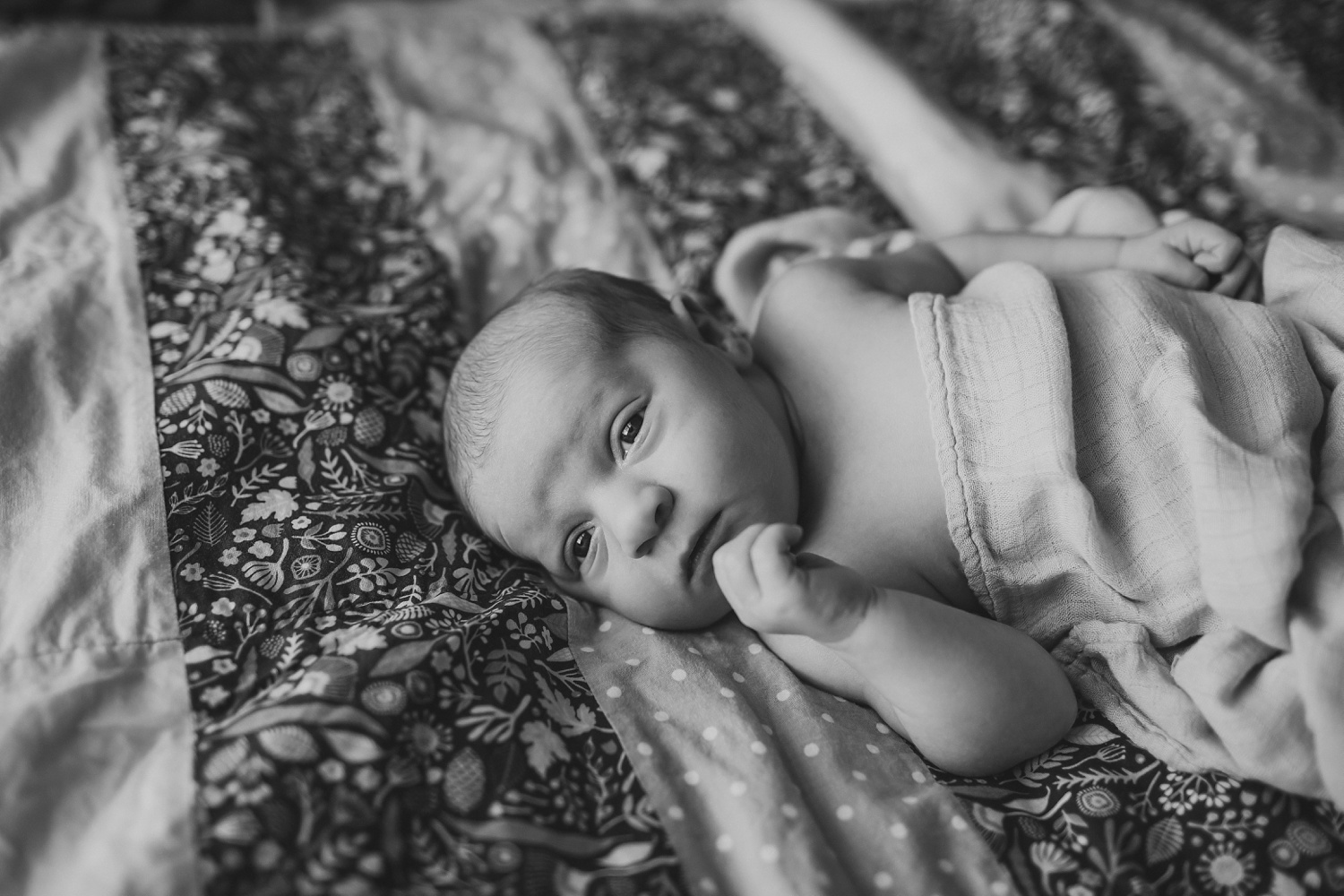 Main Line PA Newborn Photography | November Baby | Miles