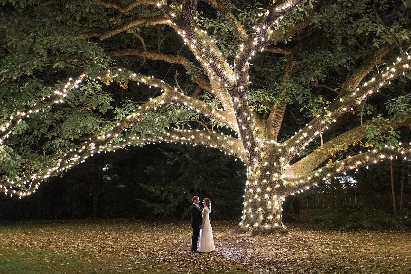 wedding portrait of bride and groom under tree with lights at Aldie Mansion