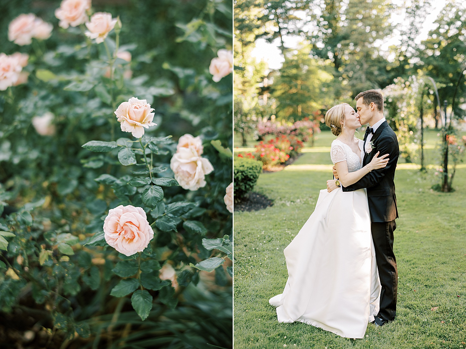 bride and groom kiss in rose gardens at Glen Foerd on the Delaware