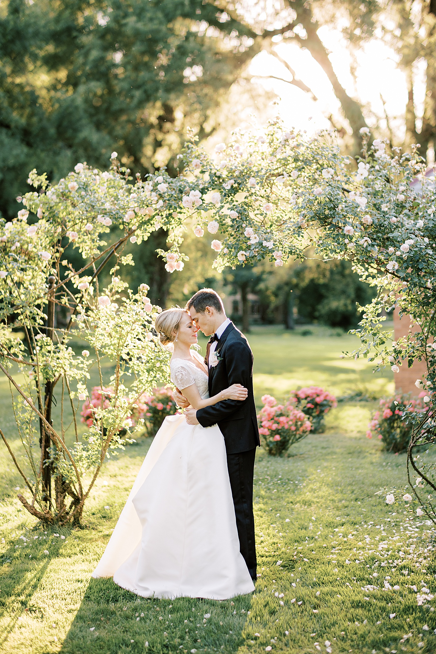 bride and groom touch heads together under pink roses 