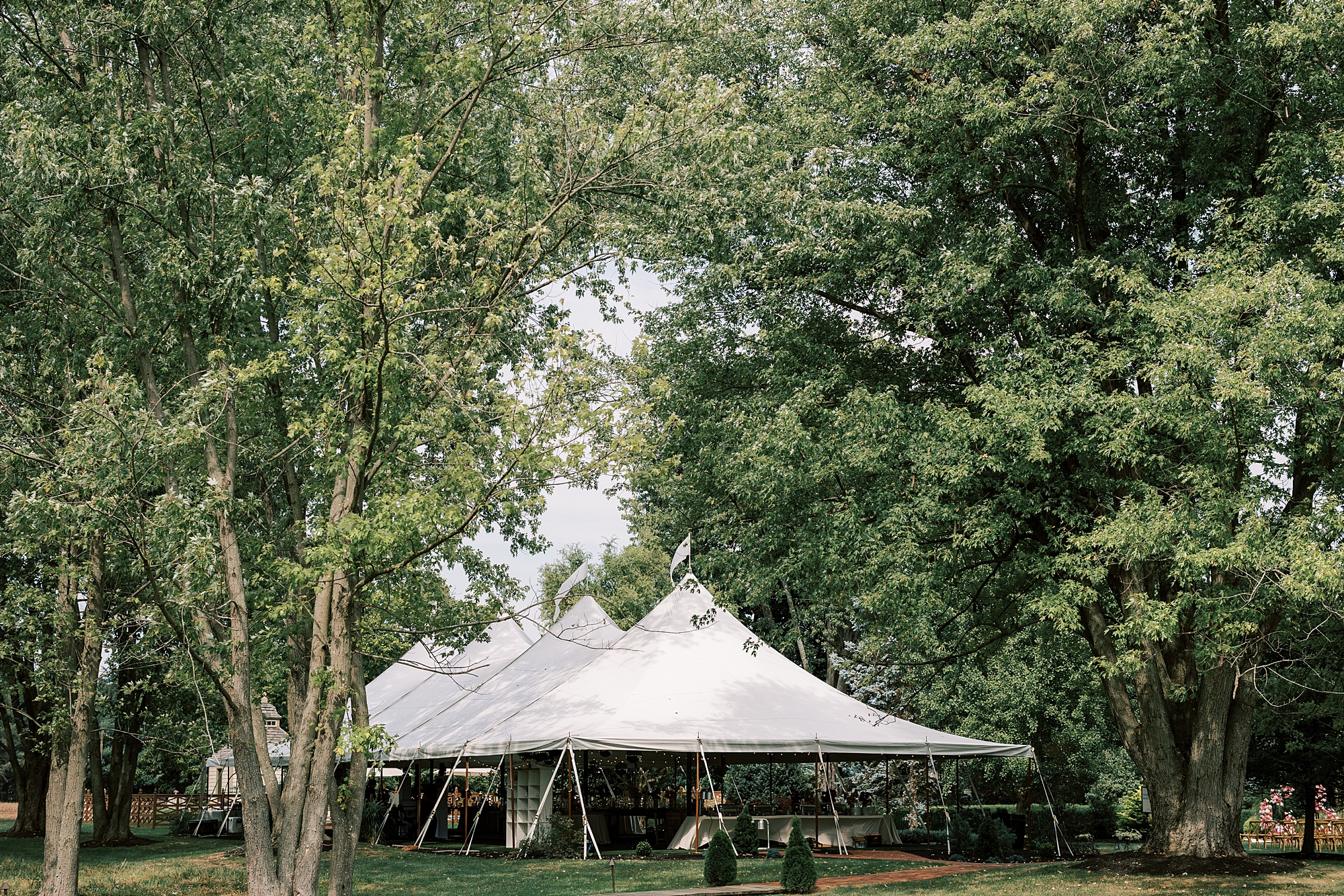 white tented wedding reception on lawn at The Cypress House