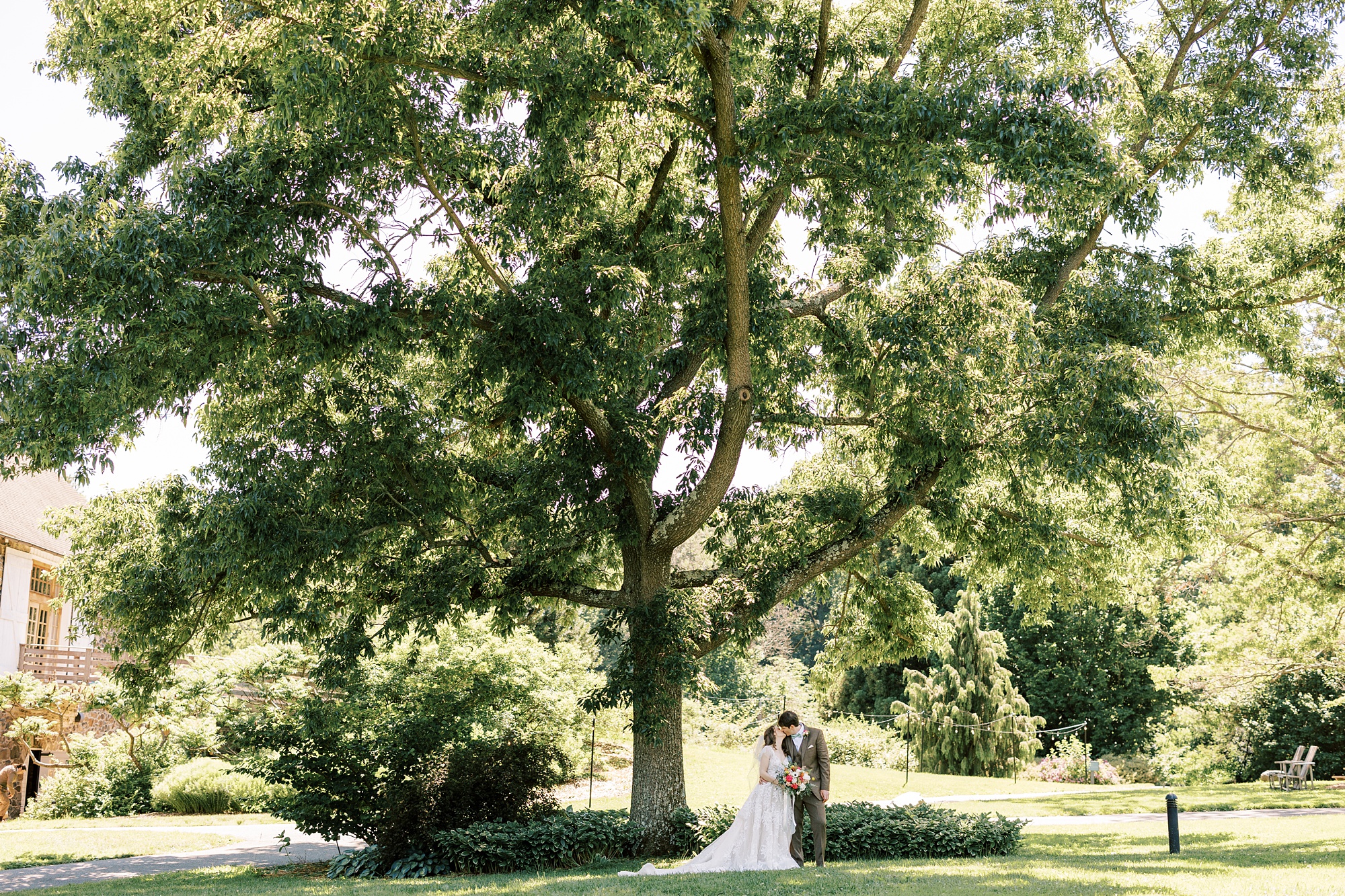 bride and groom hug under oak tree at Tyler Arboretum