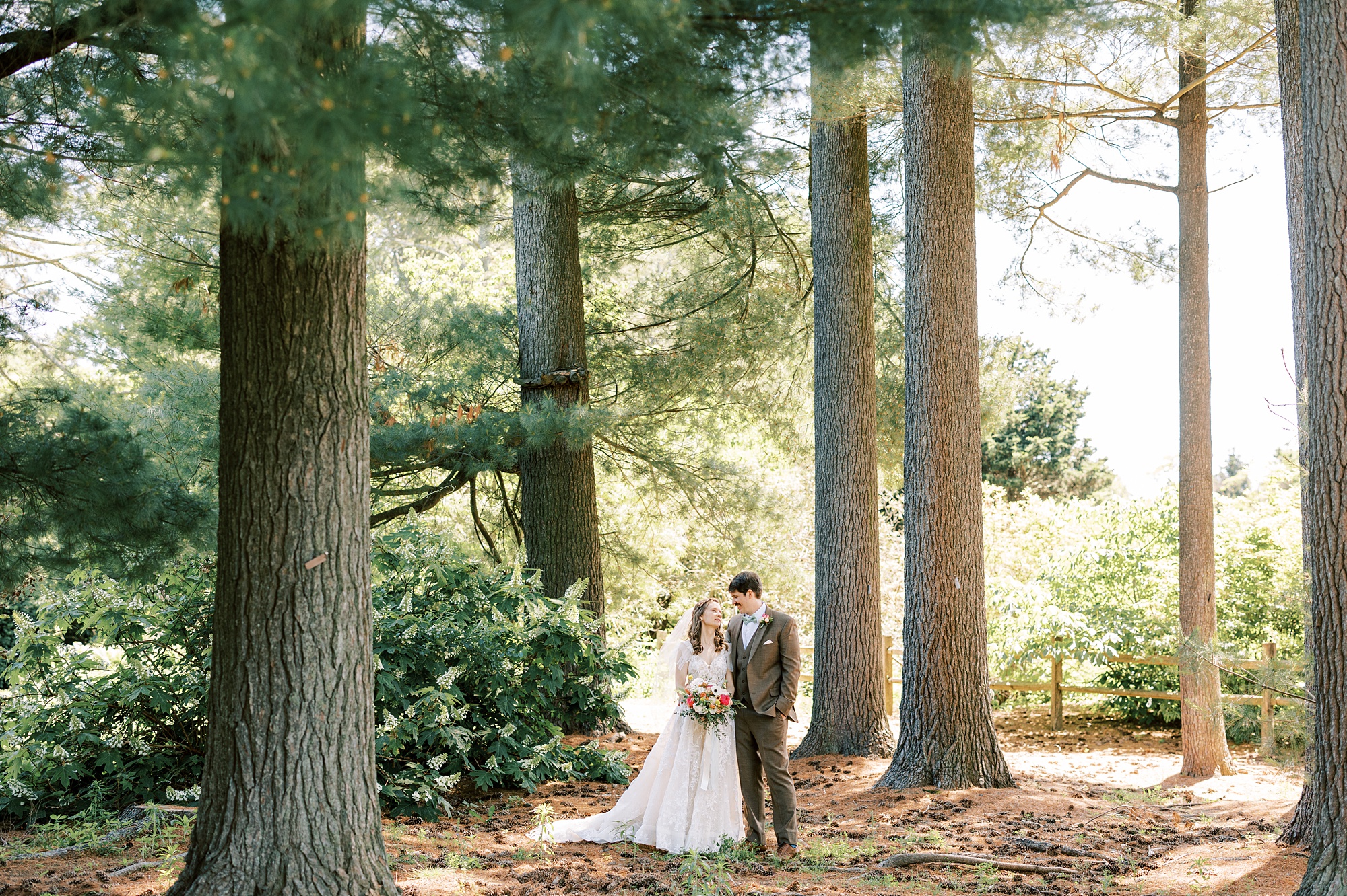bride and groom hug among pine trees at Tyler Arboretum
