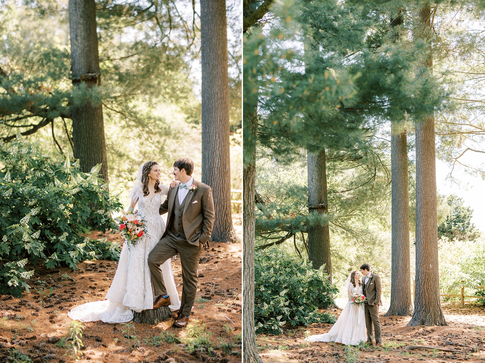 newlyweds pose between pine tress at Tyler Arboretum