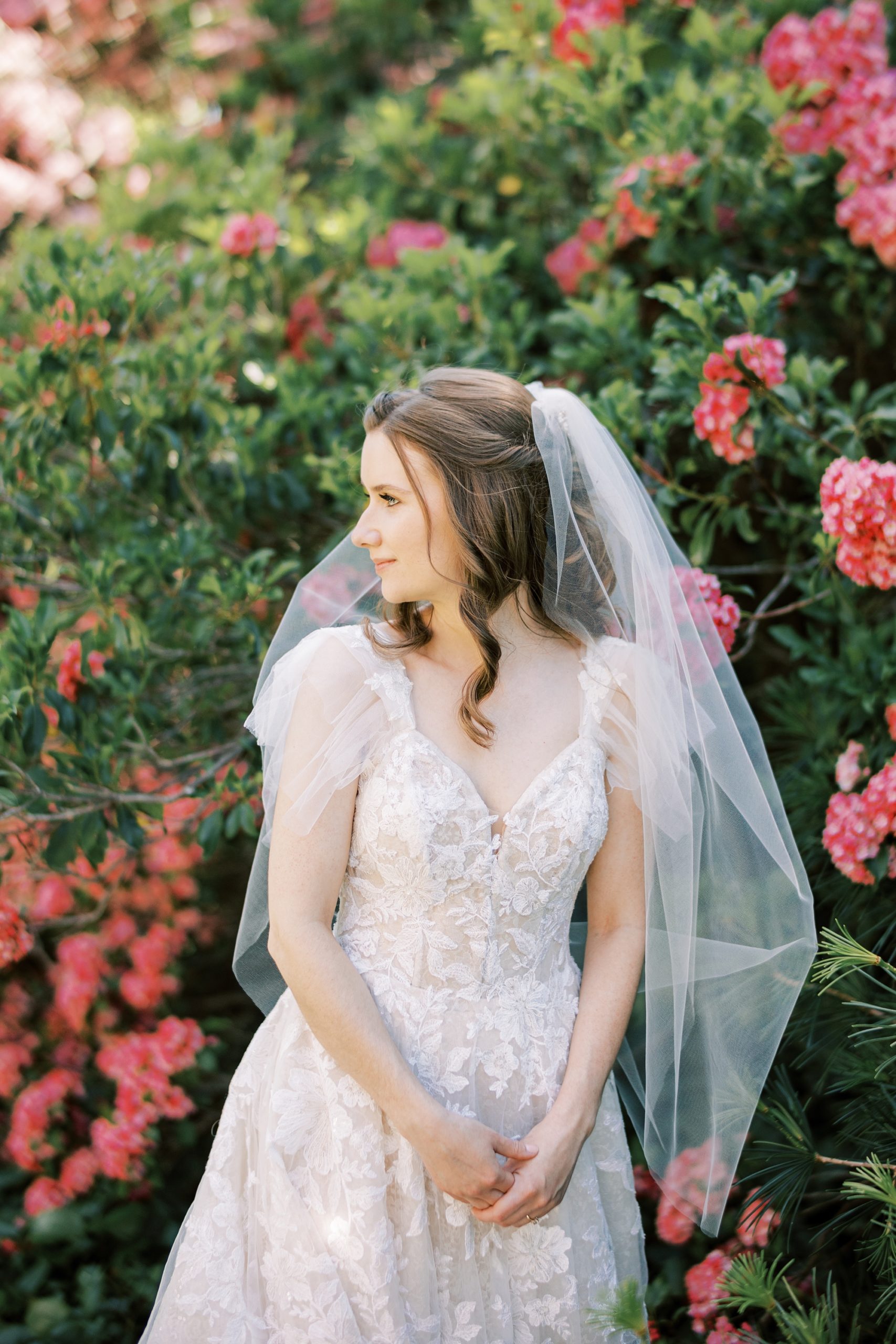 bride looks over shoulder with hands in front of her by pink bush 