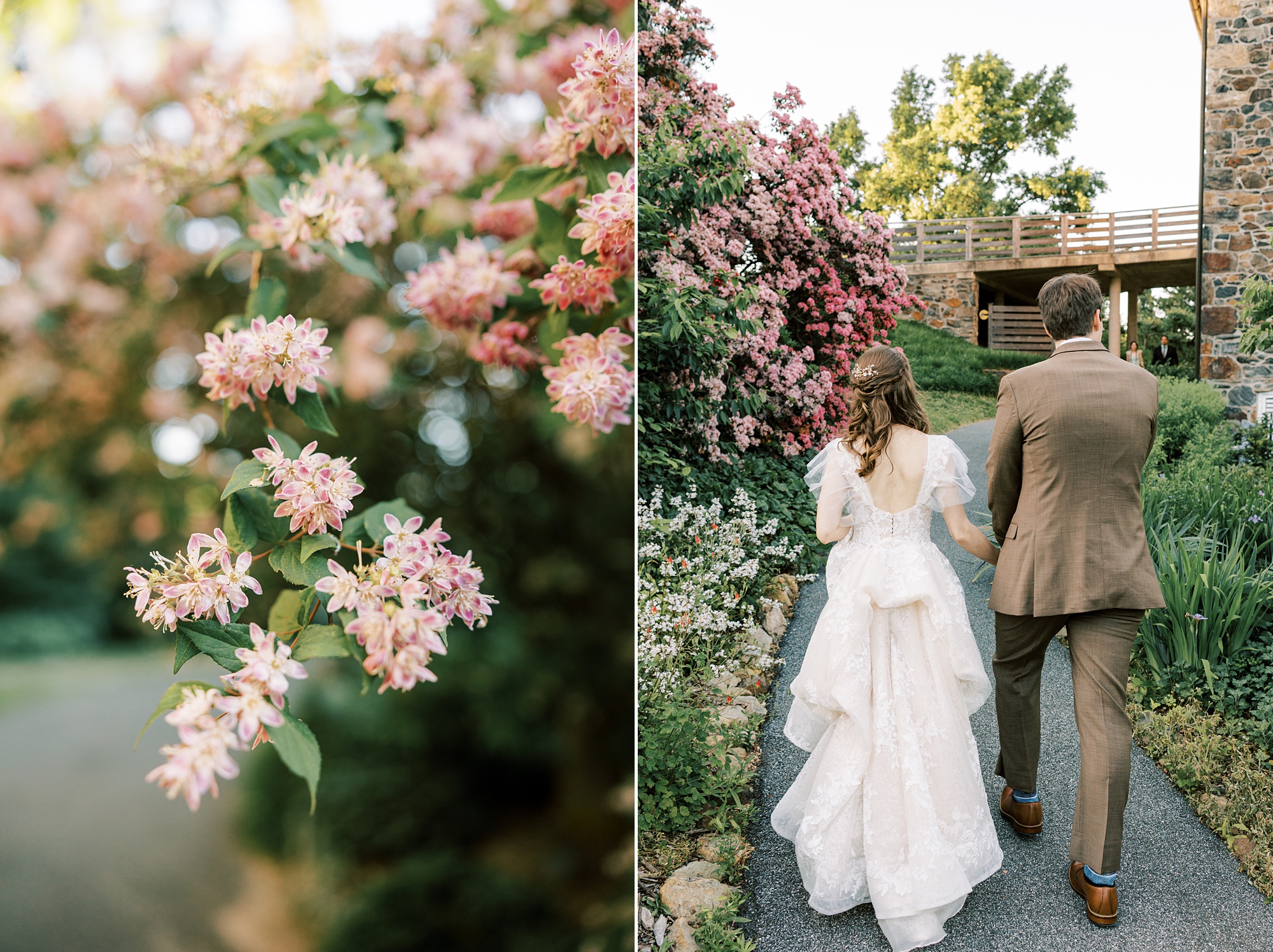 newlyweds walk in gardens by pink bushes 