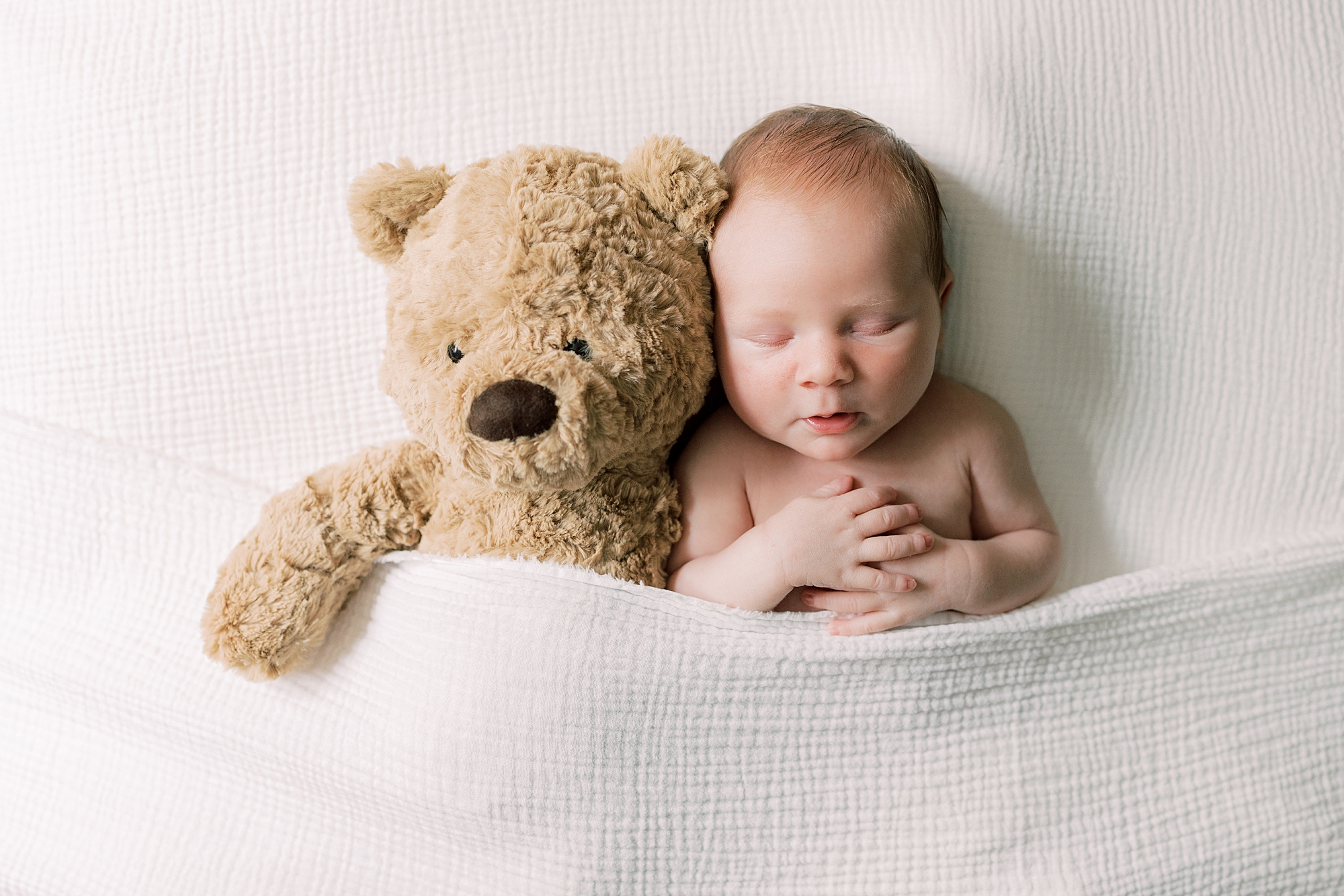 baby lays under white blanket with teddy bear 