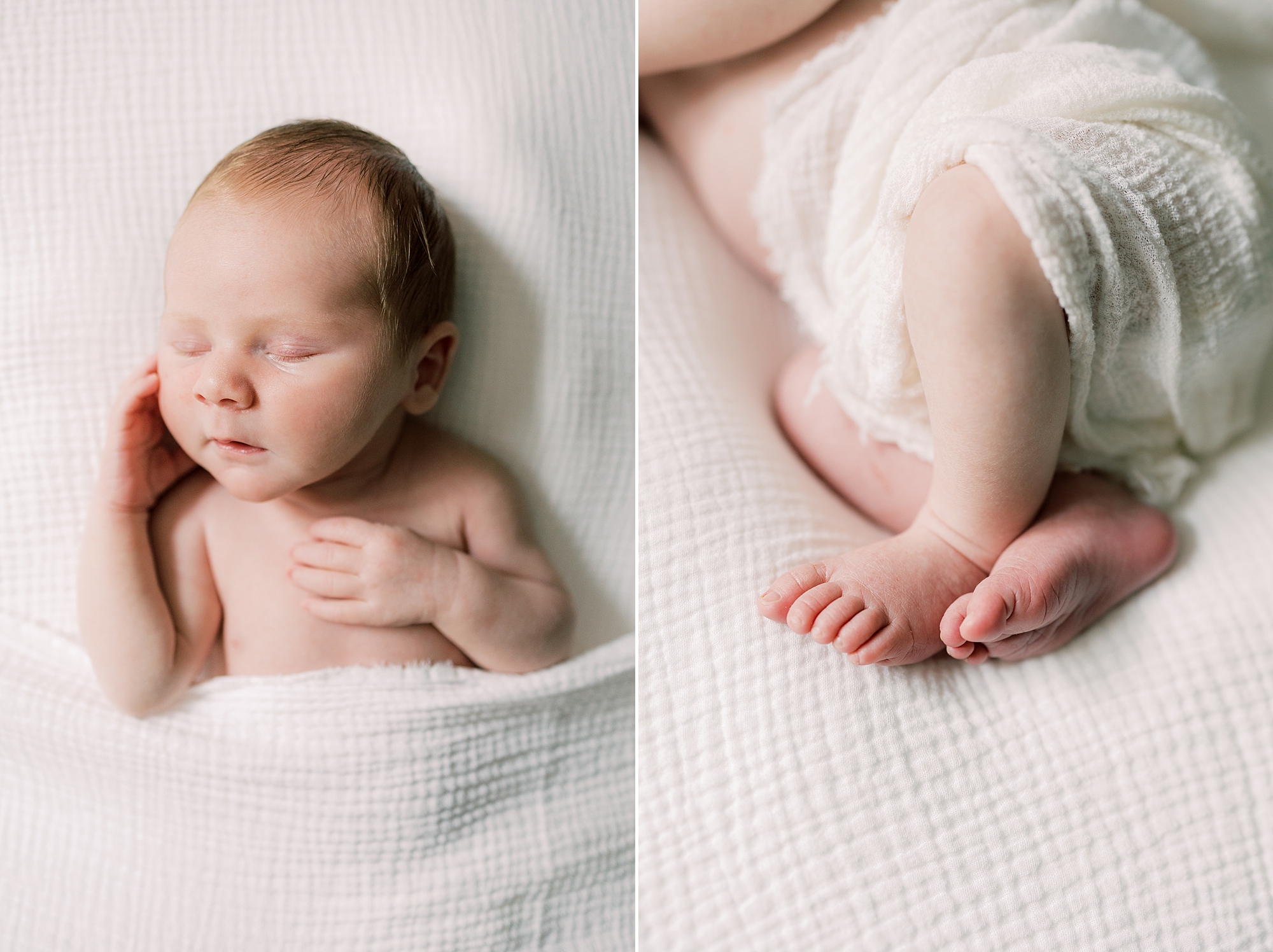 baby boy lays under white blanket during lifestyle PA newborn session