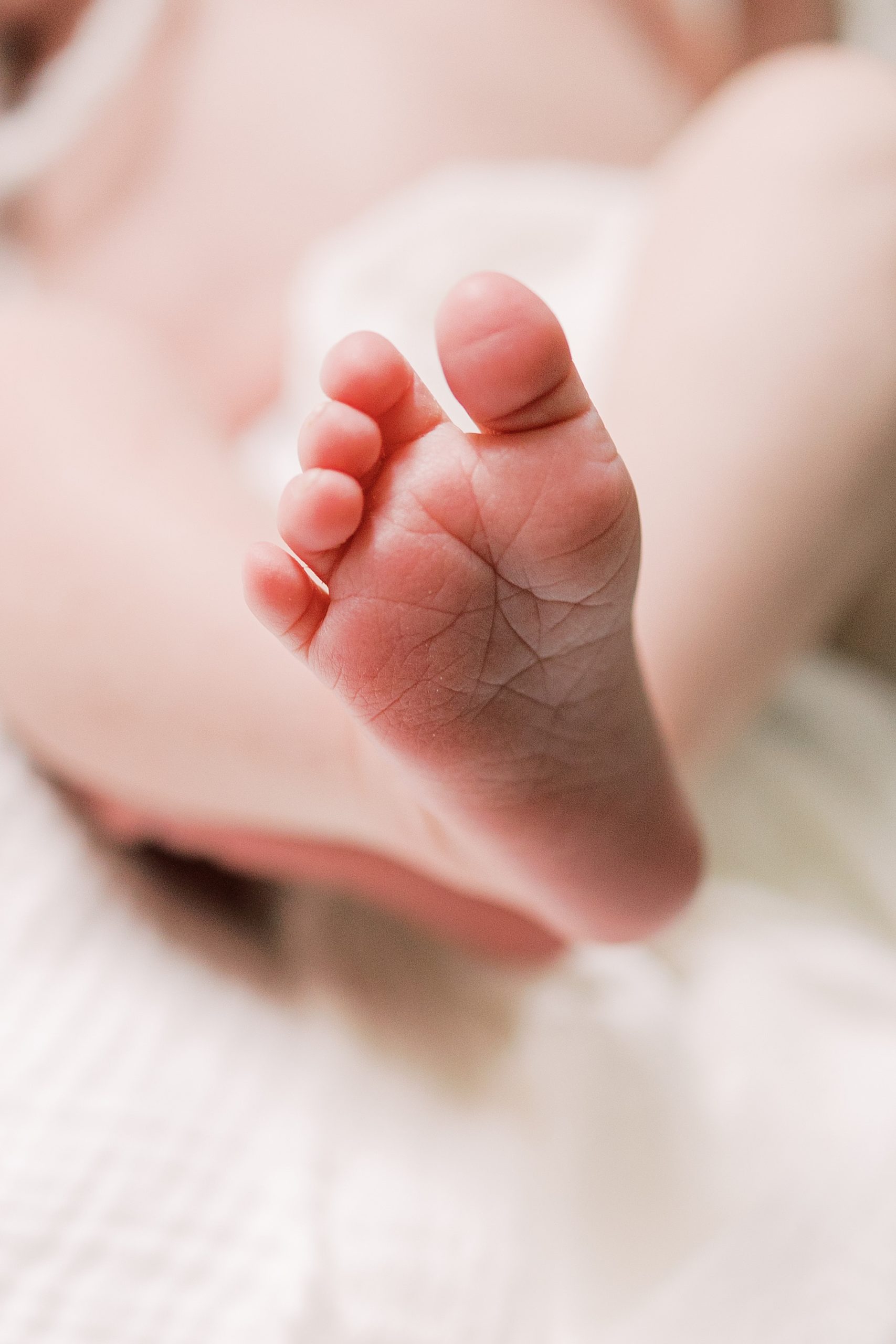 baby's foot during PA newborn session