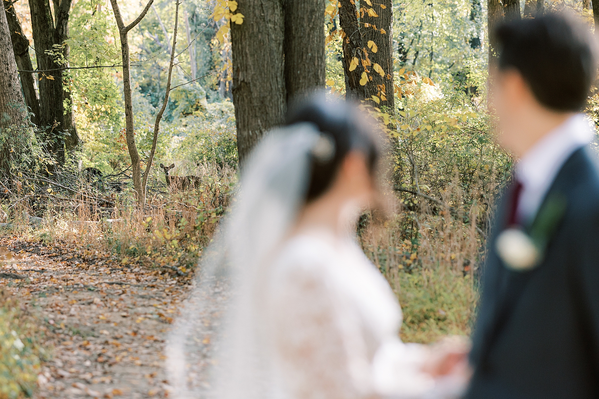 bride and groom blurred in foreground of portrait in woods