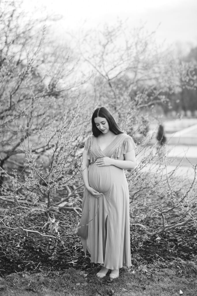 woman stands in front of trees holding baby bump in gown