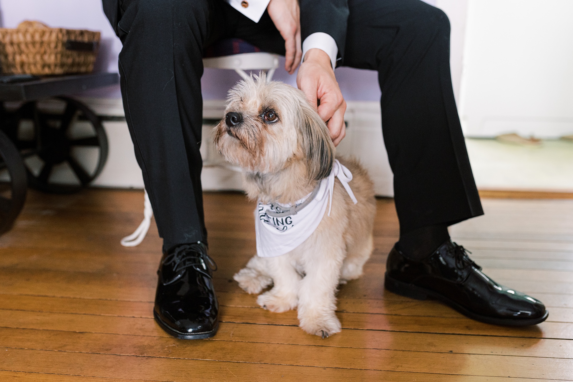 groom sits petting dog in front of purple wall