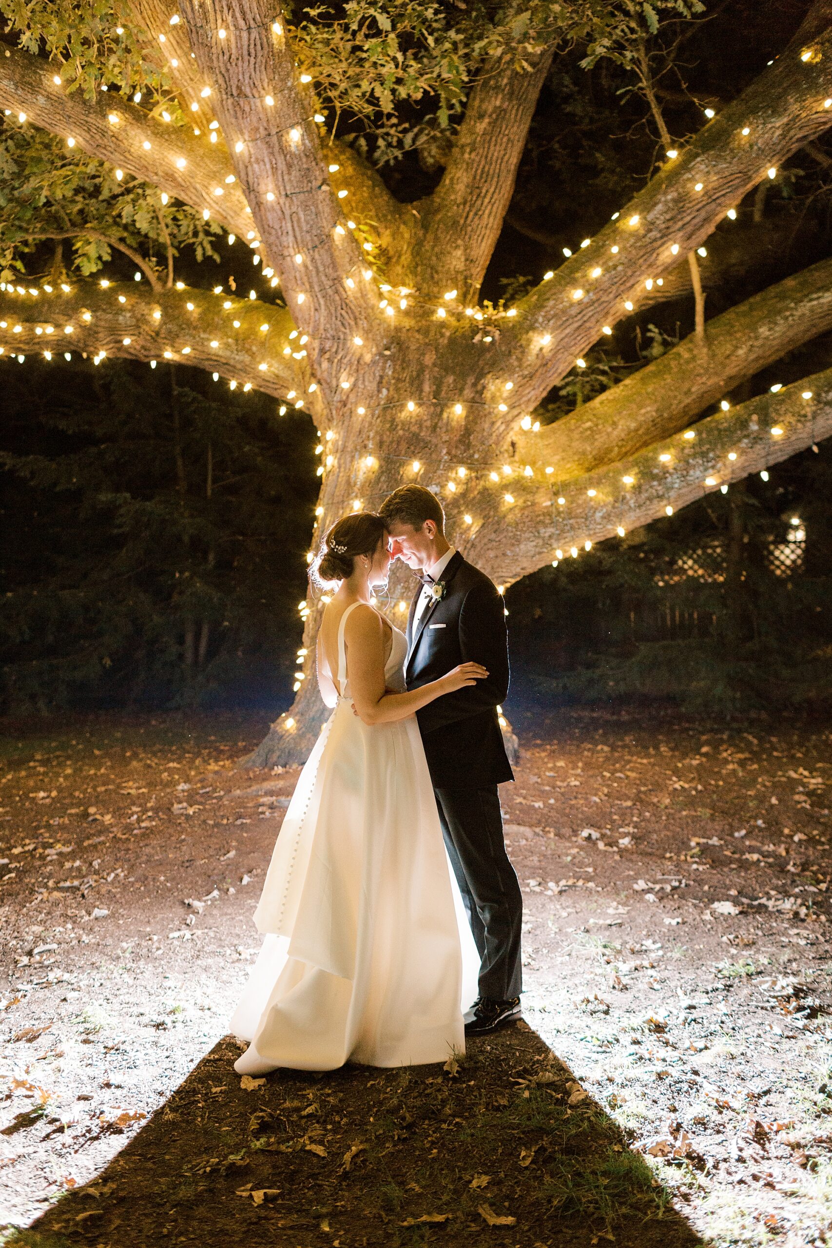 bride and groom kiss under tree with sparkling lights at Aldie Mansion